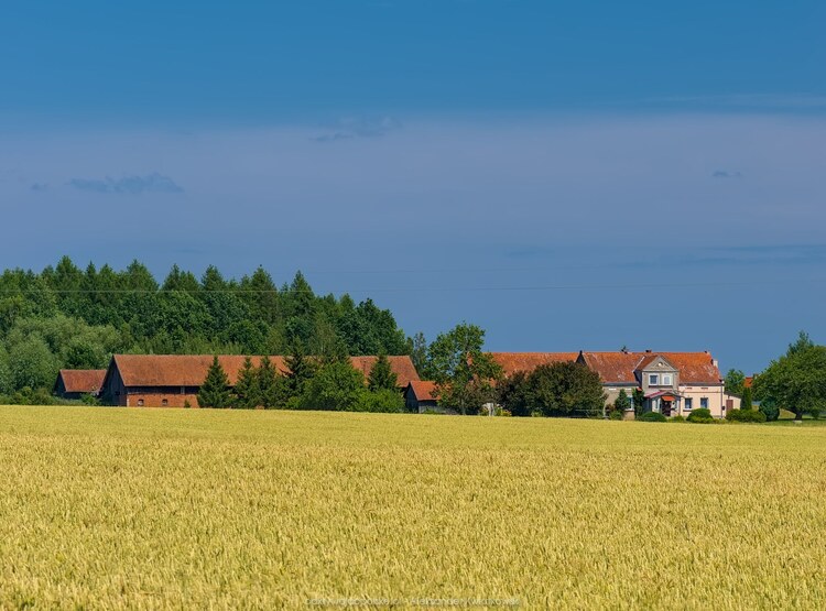 Pod Lasem obok Turcza (138.6025390625 kB)