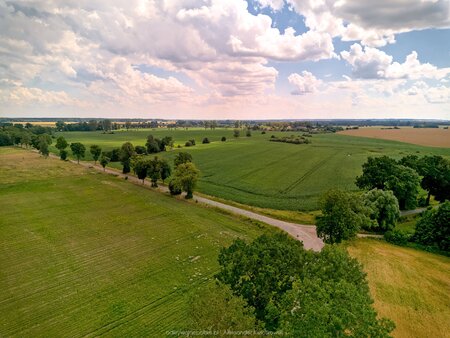 2025_07_13__13_00_DJI_0581.jpg