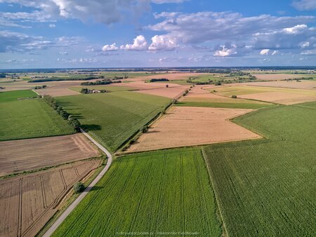 2025_08_06__18_00_DJI_0737.jpg