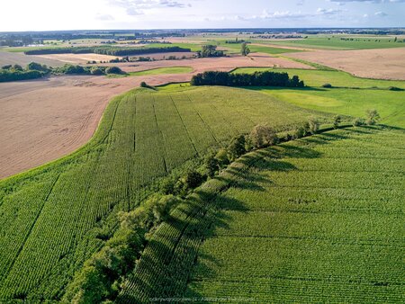 2025_08_06__18_25_DJI_0746.jpg