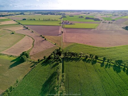 Podarzewo i Latalice