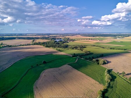 2025_08_06__18_29_DJI_0763.jpg
