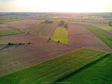 2025_08_09__19_14_DJI_0772.jpg