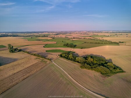 2025_08_09__19_19_DJI_0788.jpg
