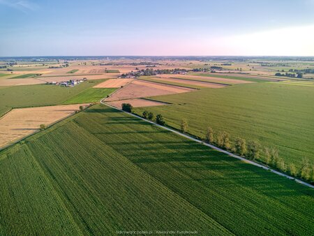 2025_08_09__19_22_DJI_0794.jpg