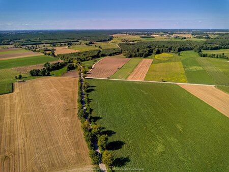 2025_08_21__16_13_DJI_0909.jpg
