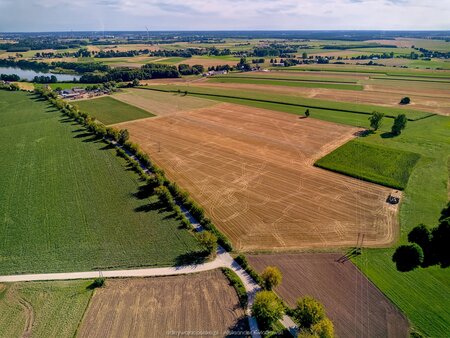 2025_08_21__16_16_DJI_0923.jpg