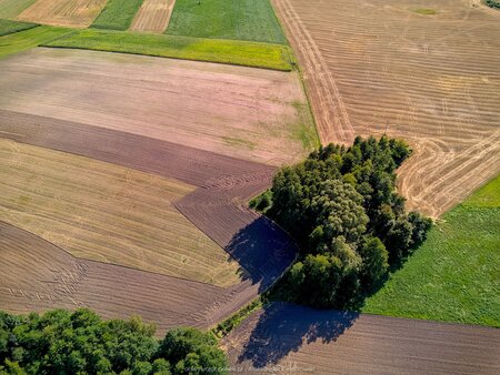 2025_08_21__16_20_DJI_0936.jpg