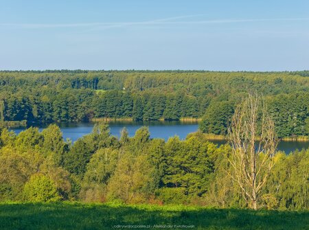 Pagórki okolic Trzemeszna