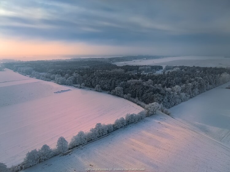 Droga do Krześlic i las obok lotniska w Bednarach (118.1162109375 kB)