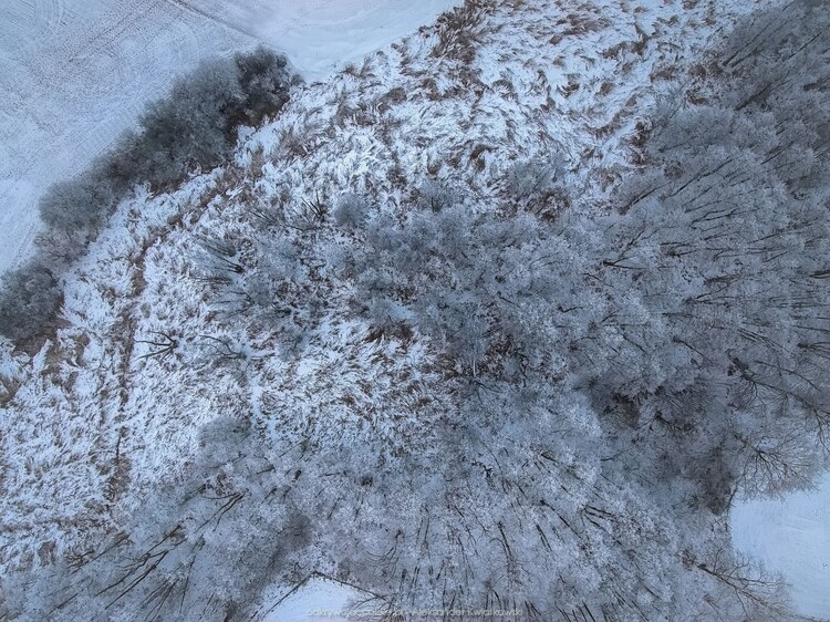 Okolica rzeki Cybiny (217.4814453125 kB)