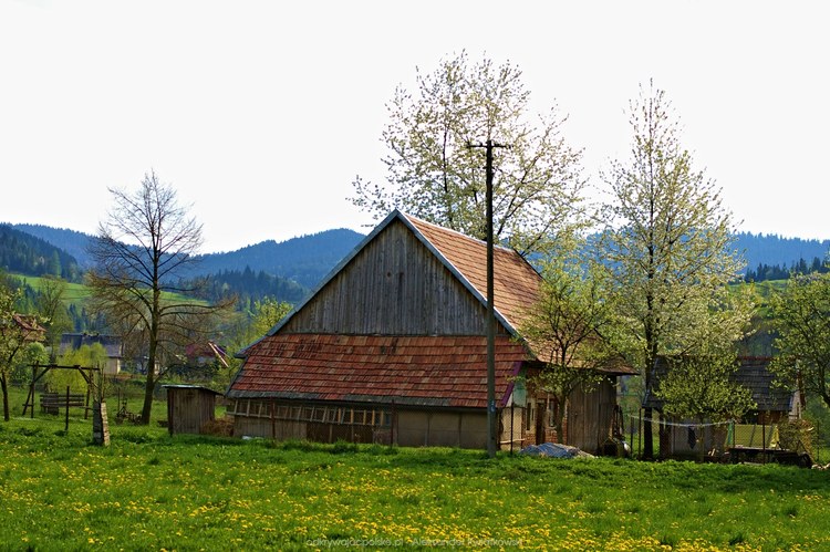 Dom w Koninkach (114.998046875 kB)