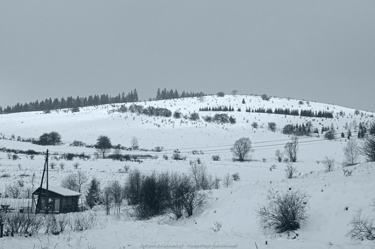 Zimowe okolice wsi Grzędy (79.013671875 kB)