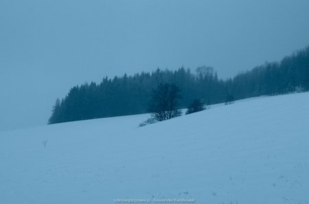 Zimowe pola w okolicy Kowalowej