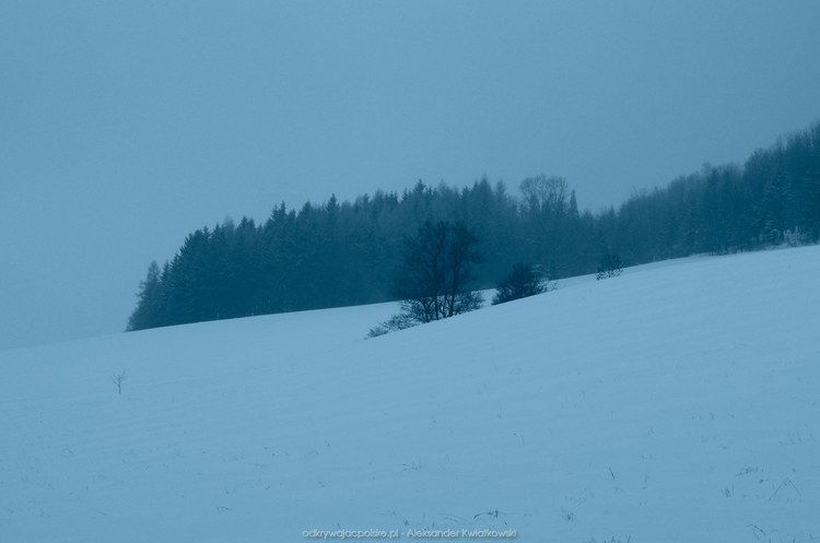 Zimowe pola w okolicy Kowalowej (31.1572265625 kB)