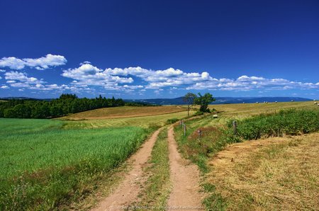 Niebieski szlak pieszy do Międzylesia