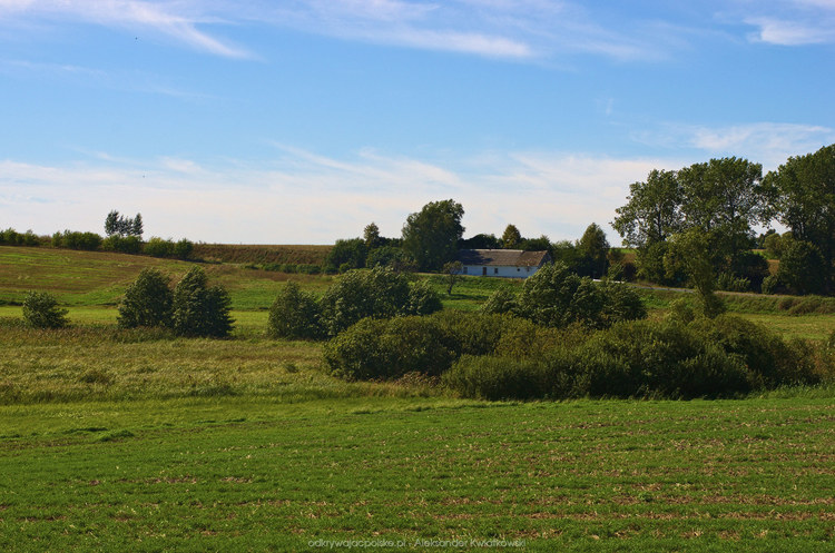 Okolice wsi Wełnica po wyjeździe z Gniezna (126.1982421875 kB)