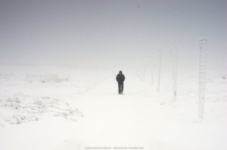 Samotna osoba w zimie
