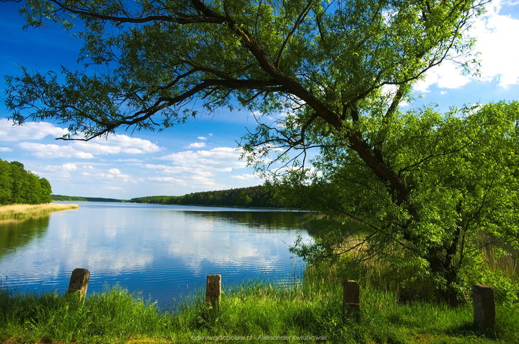 Jezioro Budziszewskie (193.119140625 kB)