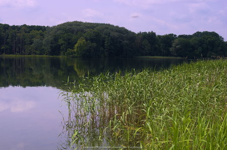 Jezioro Lusowskie