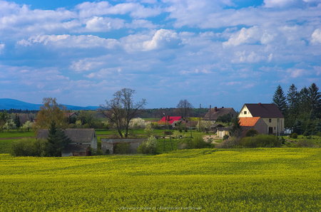 Wieś Starczów