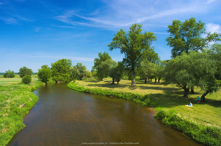 Rzeka Prosna obok Rudy Komorskiej (137.955078125 kB)