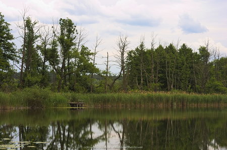 Jezioro Cegielnia obok Pszczewa