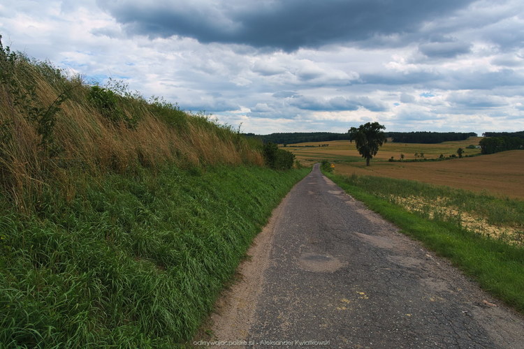 Widok na wieś Wołdowa (135.5986328125 kB)