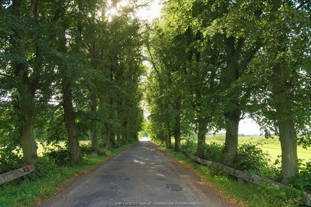 Droga w stronę wsi Osiek