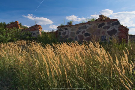 Okolice ruin starej stodoły w Osieku