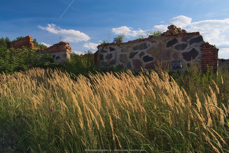 Okolice ruin starej stodoły w Osieku (162.6875 kB)