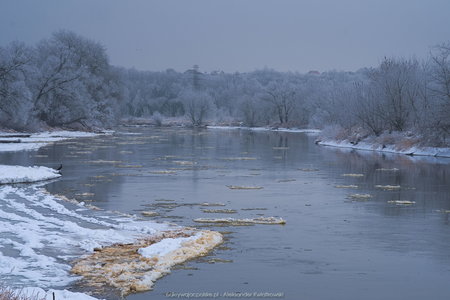 Rzeka Warta z okolic Radojewa