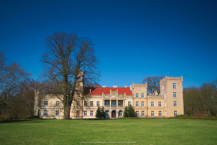 Pałac w Gościeszynie (113.6220703125 kB)