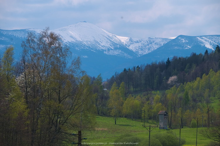 Widok na Śnieżkę z okolic Krogulca (116.8916015625 kB)
