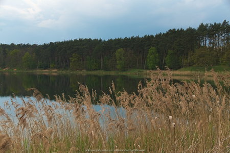 Jezioro w Mościejewie