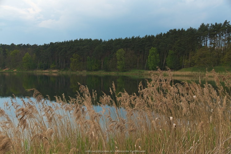 Jezioro w Mościejewie (127.810546875 kB)
