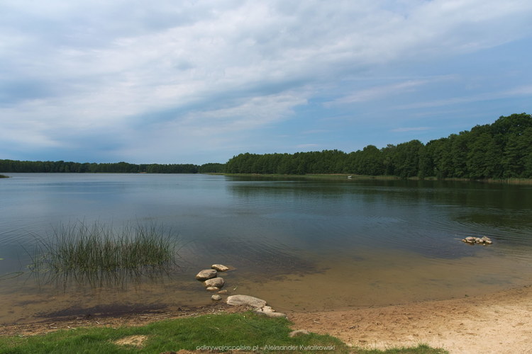 Jezioro Goszcza (89.9033203125 kB)