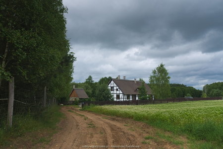 Dom przed lasem