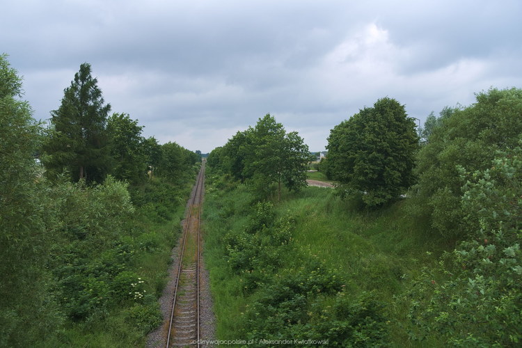 Tory linii 281 obok Sępólna Krajeńskiego (124.2119140625 kB)