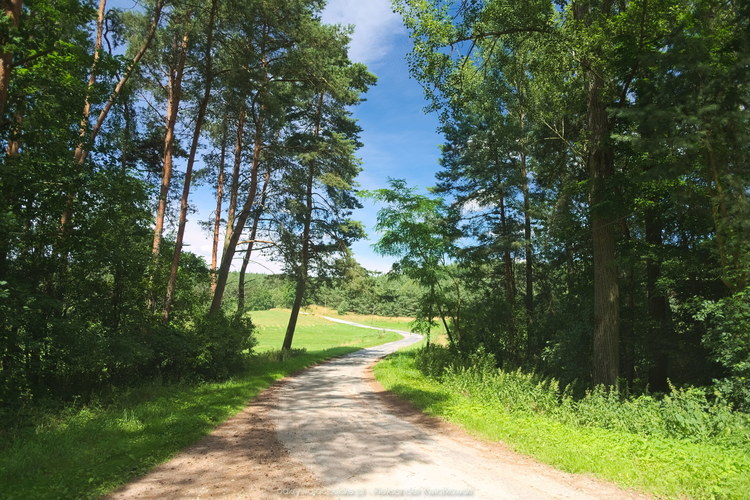 Droga do Ostrówka (179.9794921875 kB)