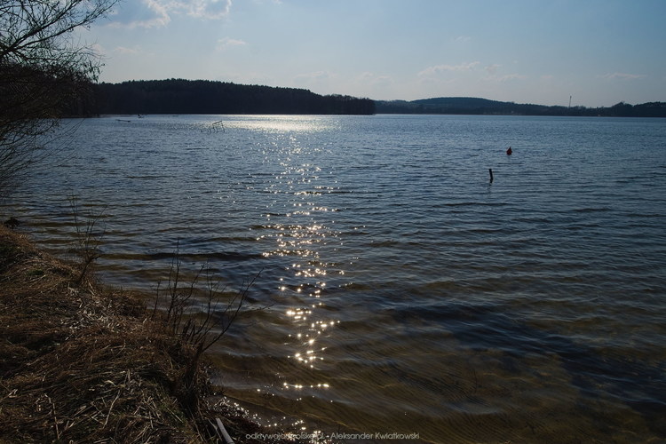 Jezioro Chrzypskie (125.837890625 kB)