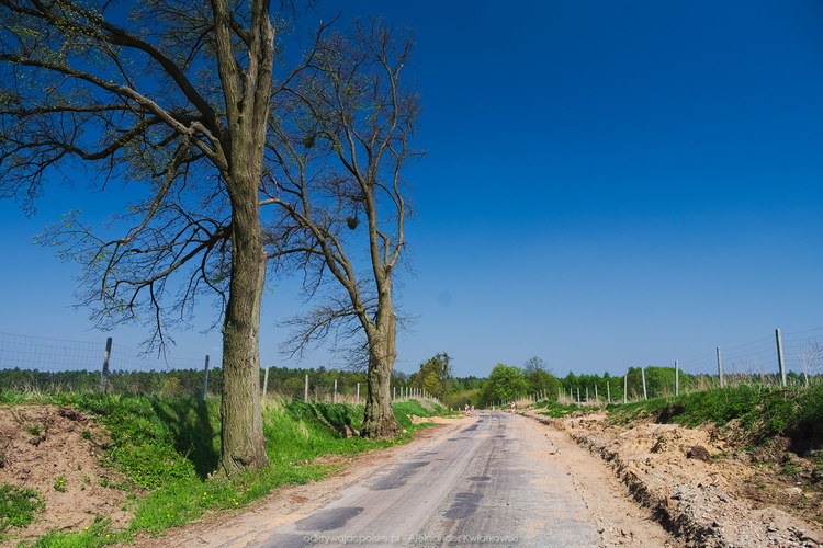 Droga do wsi Żur była remontowana (140.88671875 kB)