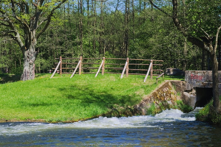 Wda w okolicy Borska (197.2724609375 kB)