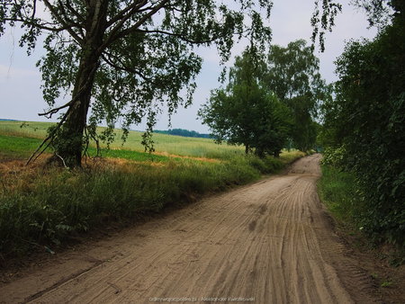 Piaszczysta droga w okolicy Rojewa