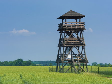 Wieża widokowa niedaleko wsi Pniewo