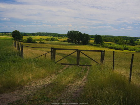 Brama na pole w okolicy Przezmarka