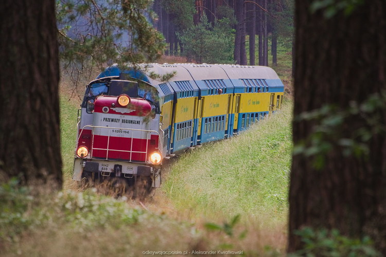 Pociąg Przytoń na łuku w lesie (119.7509765625 kB)