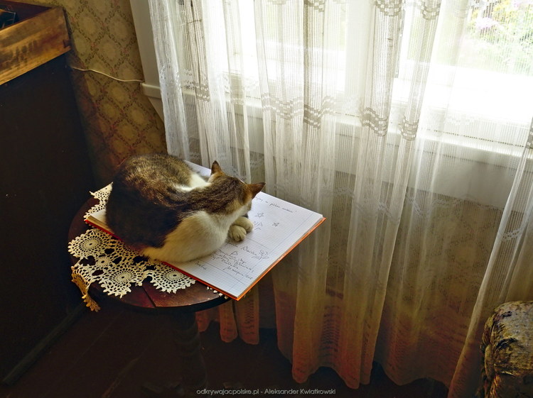 Kot blokujący książkę pamiątkową (115.173828125 kB)