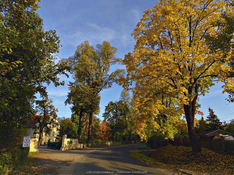 Jesienne drzewa w okolicy pałacu w Wojanowie (220.10546875 kB)