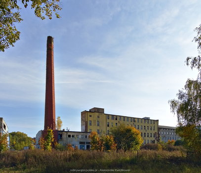 Nieużywany budynek przemysłowy w Marciszowie